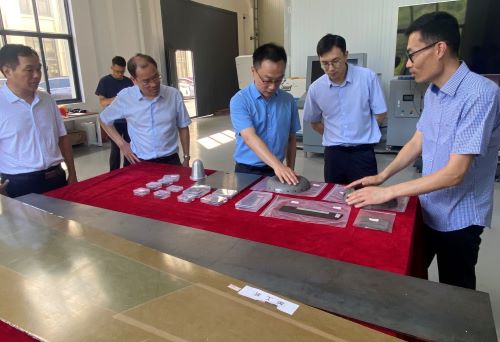 寧波市經(jīng)濟(jì)與信息化局局長(zhǎng)王懿棟帶隊(duì)蒞臨視察指導(dǎo)